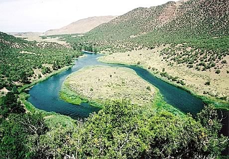 Grasshopper
                      Island on the Green River B Section